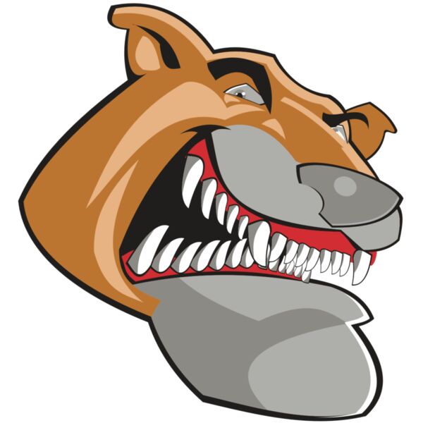 COUGAR HD0504 RQC Thumbnail