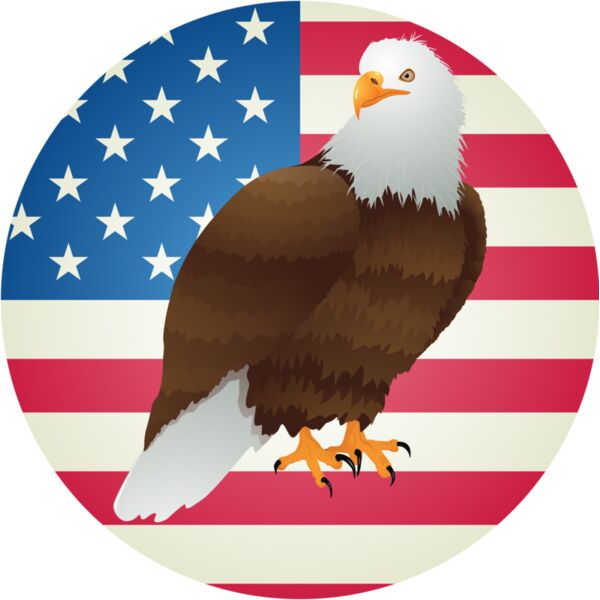 USA America Flag Bald Eagle 5 Thumbnail